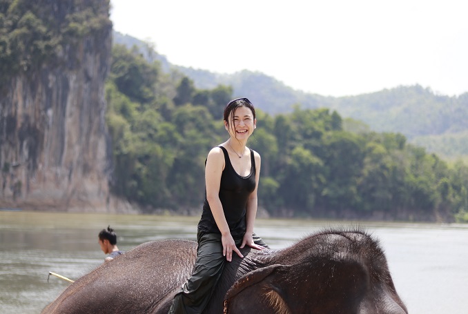 Luang Prabang Elephant