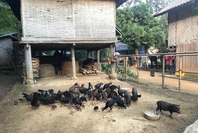 Nong Khiaw homestay